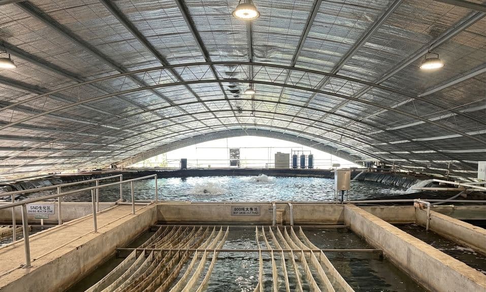 Mengzhou Jialian Farm in Henan, China — SND AquaMats deployment in freshwater sea bass ponds